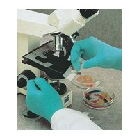 SHOWA Best Glove 1005M SHOWA Best Glove Medium Green 9.5\" Derma Thin 5 mil Natural Rubber Vinyl Ambidextrous Lightly Powdered Di